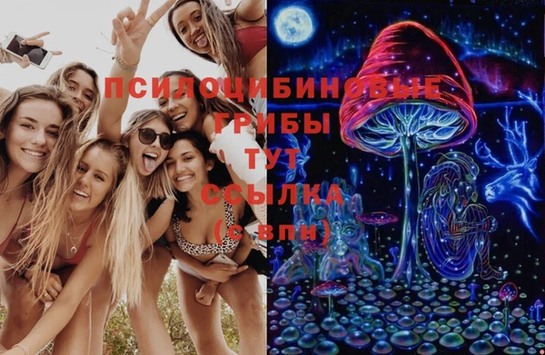 молекула духа Абинск