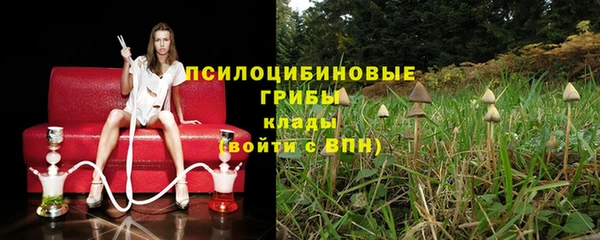 молекула духа Абинск