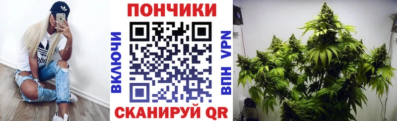 сколько стоит Боровичи Бошки Шишки планчик